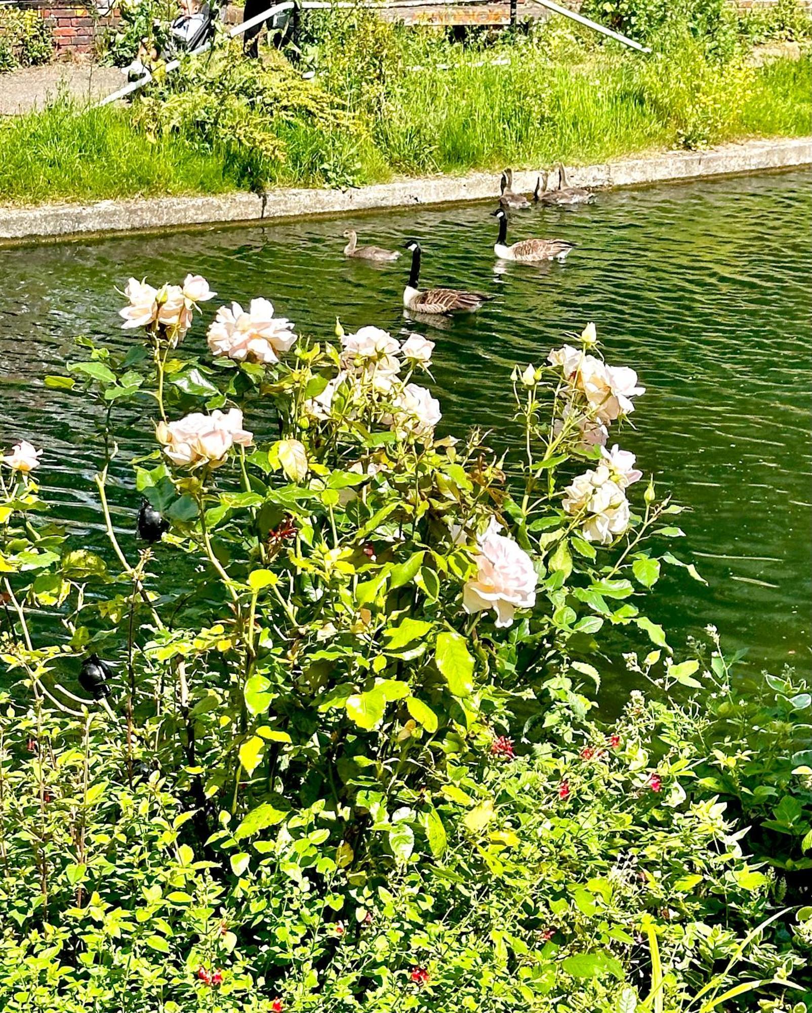 Amazing Location - City Of London- 2 Bedroom Stunning Canal View House With Private Garden,Parking & Balcony Екстер'єр фото
